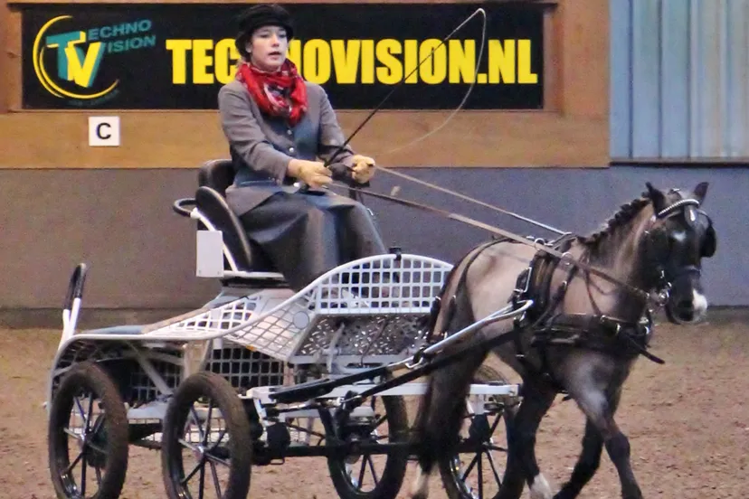 h8rjujmr8au8f8qo504bnilgm 06en veluws ros