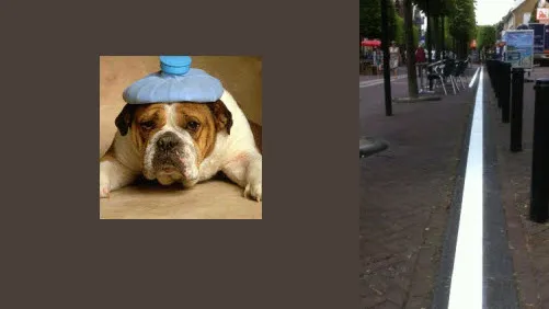 hre0mqe0d44erqmr19qpqd0v7 dickblaft35