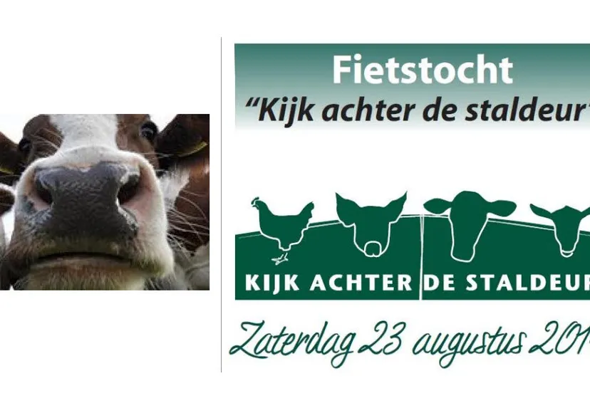 htrvsz9vstpp07ii9j6xlgvqu 34en staldeur