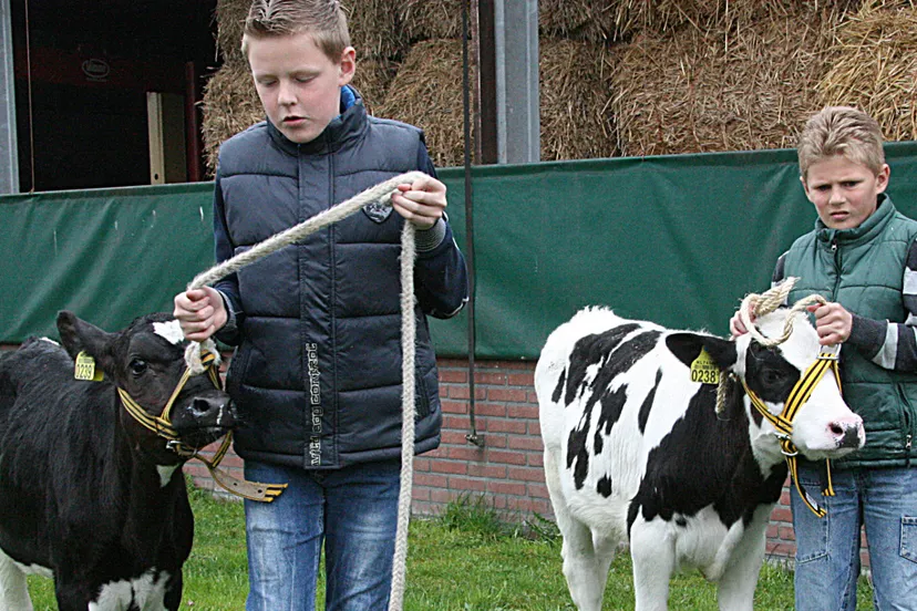 i1dahvktt2oitrgzmlunlwakq 12en miss koe