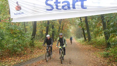 ipjkl5pvhg4n202kjfxdgmbve 42en vwv1