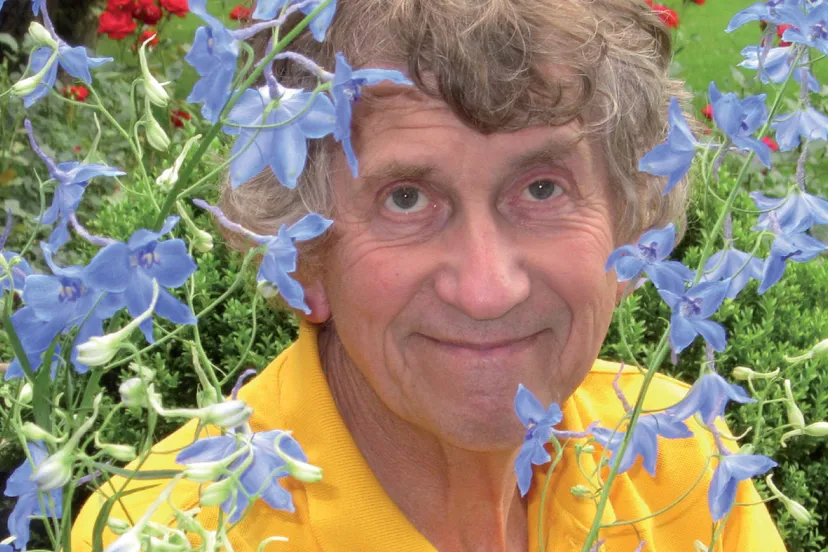 ipsooo83ddhbgigzilqigokd1 seth gaaikema en 40