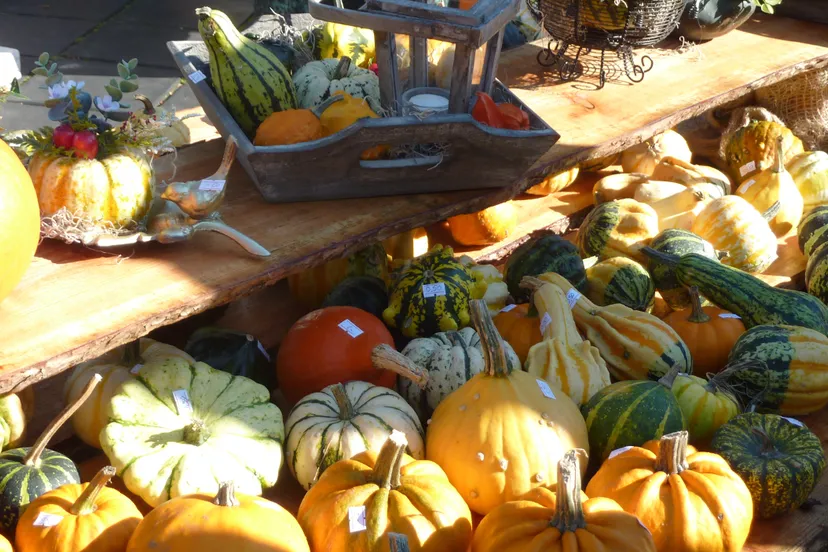 j25b6y3od5gcwouok5wzkn7ln 38en herfstmarkt