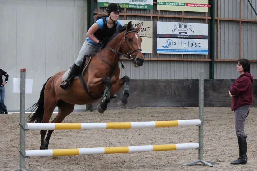 j29hry48np70g22415w53zyvj 37en ruitersportcentrum