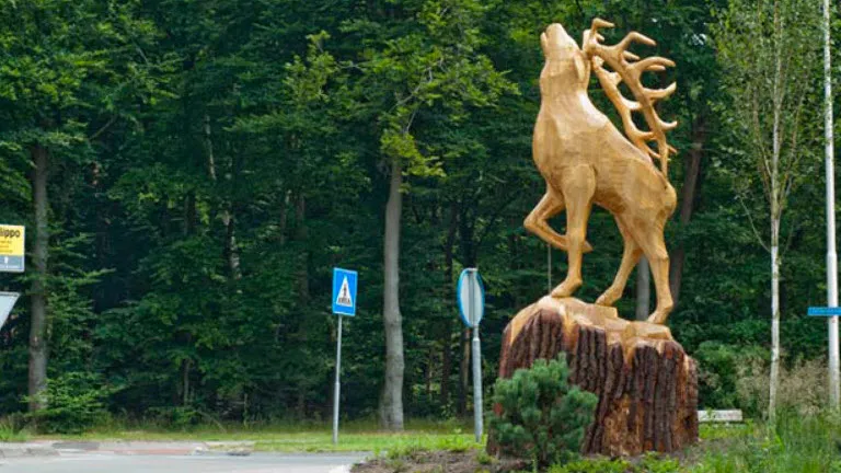 j4lyt12d7rf17lrwybm8z0c73 06en hert