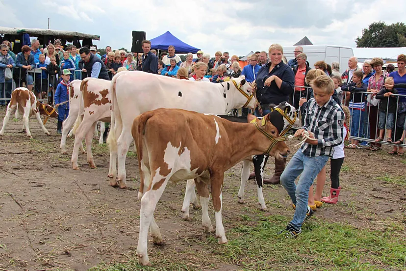 jd29bxz4ewpplf10fx0xj7j9a 34en miss oogstfeest