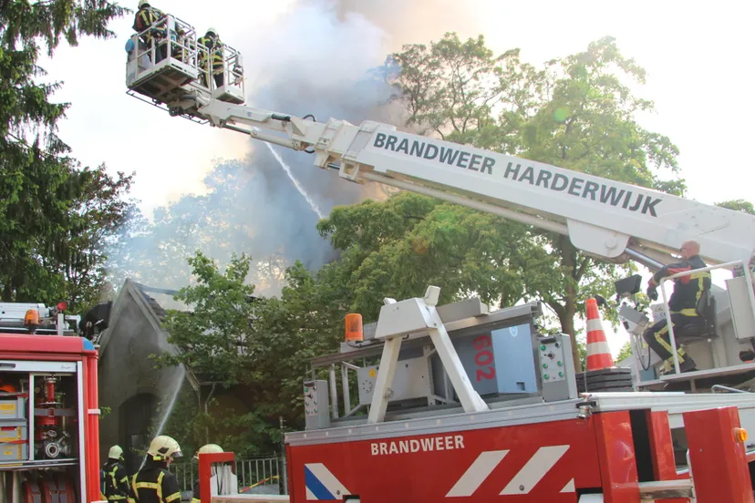 jjj84wgi013vm6y56u8d0r9t5 21en brand 1