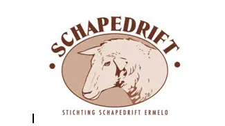 jjktw0mxn4aejbz3z465kpiys logo schapedrift