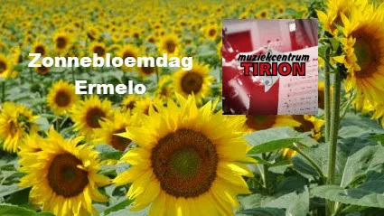 kazusgsxga3oc6bygfrt5of3r 20en zonnebloemdag