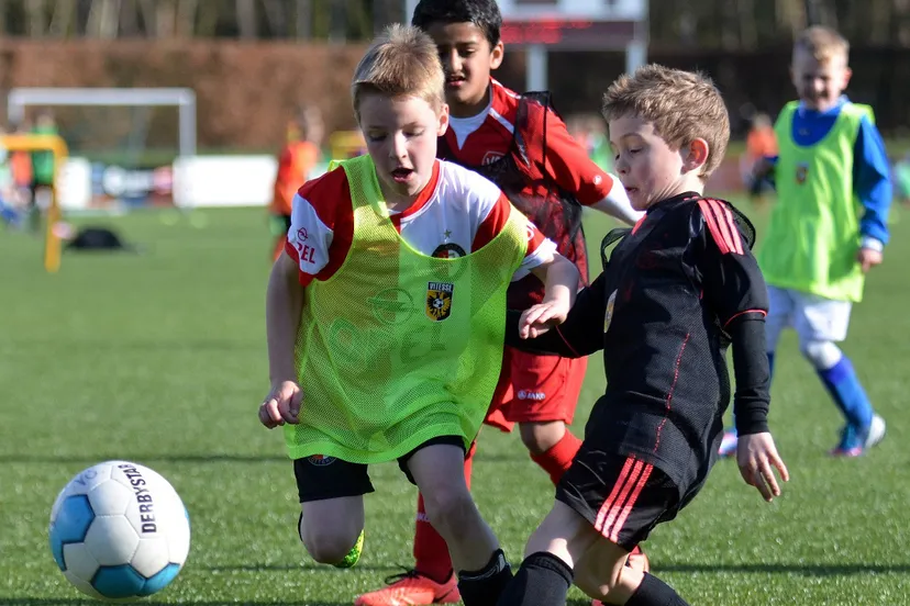 kn1n1aka6der0fylzogewkdsh 14en scout 4