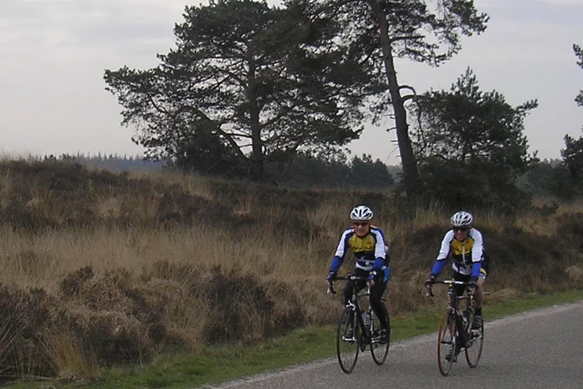 kq2x6rd6zw0ywq53kdicsdg2r 35en vwv