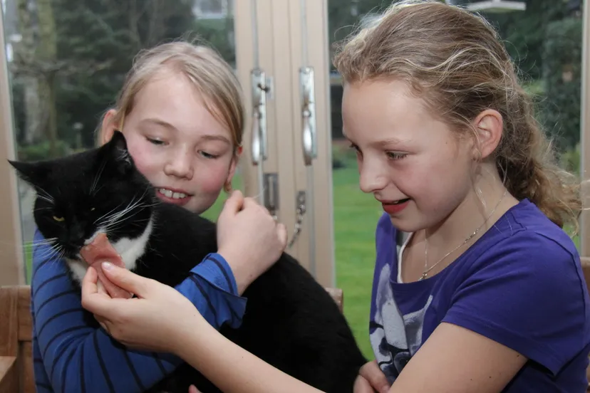 ktclp91u5eyqyzdg8bo7nylut 04en dierenleed