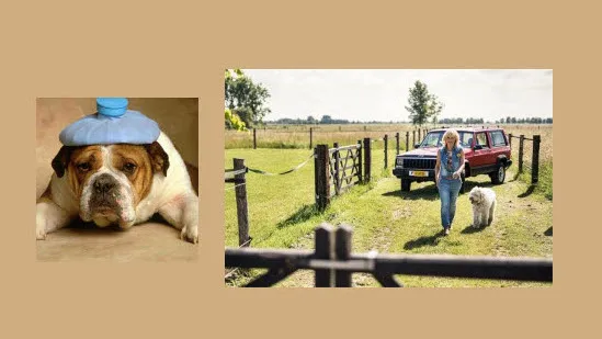 ktgppu9edkwemsnr3cripe82z dickblaft41