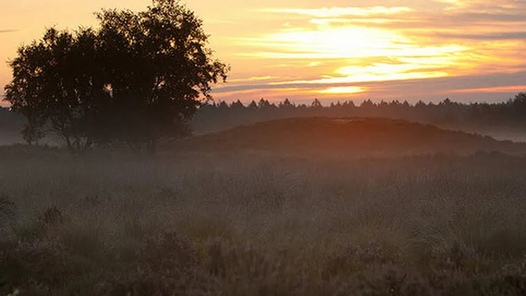 kysypfo0hq3u7p21p812f18lw 45en witte wieven