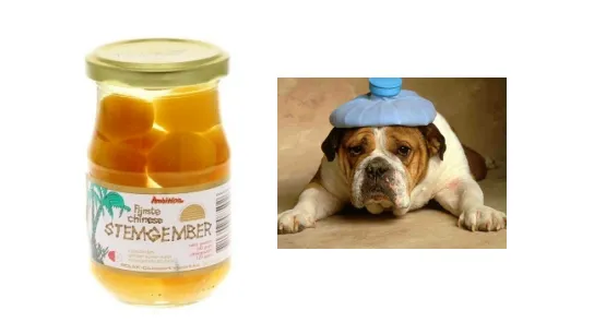 l9d7cmlsy2xob6phcu11hwd3x dickblaft22