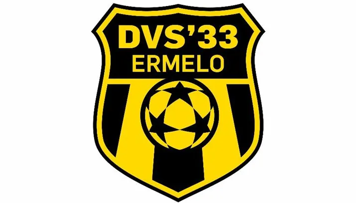 logo dvs