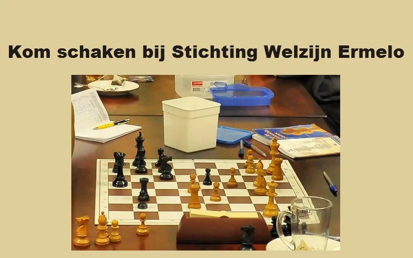 logo schaken st welzijn