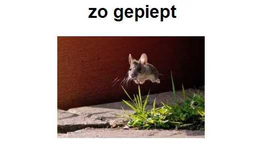 lppohdqwfejkolrswwkb7oh35 32en dick