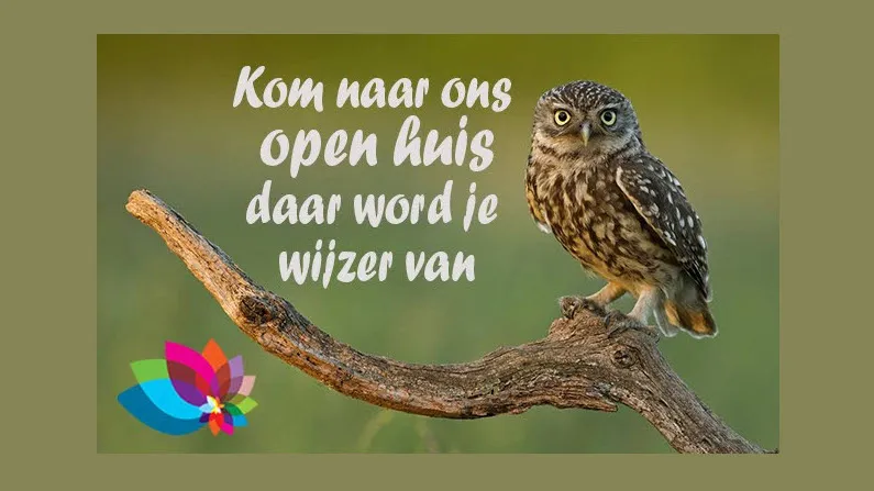 lqe6w6pq4a018gtvni32a83lp 34en vuvera