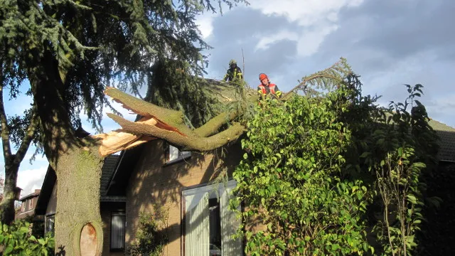 lvxna2gm7zzvnfqalq9zlh1jq 44en stormschade 1ti