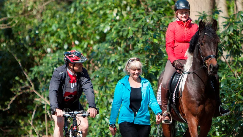 mkdjrmd5tbcncv93viqm6t4o9 20en enjoy the sports 2014