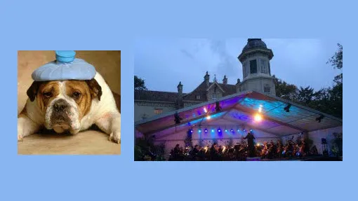 n1up8xe0obkwti6swqbjkneed dickblaft40