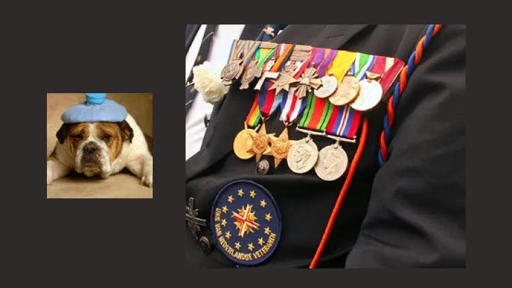 nfllm3snugs2rn07ra3r0ib1y dickblaft33