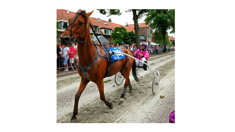 nodlm0x3gpuqo9g0x30onn3of dickblaft18