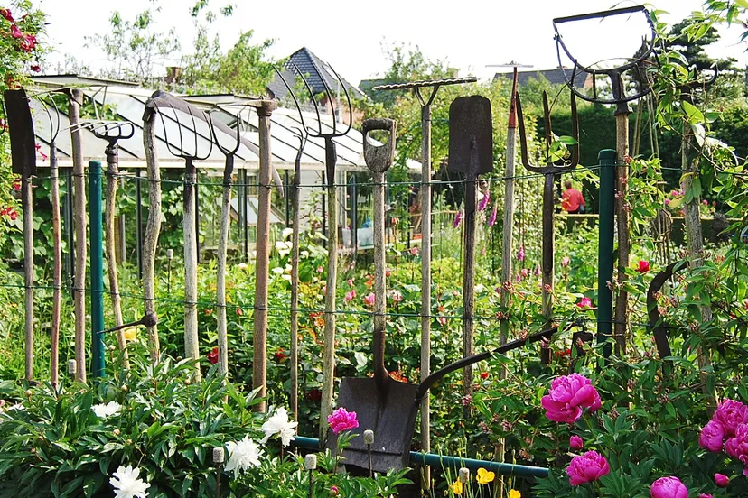 nrrb008yxt8y22f5ain111ciy 02 en groeibloei