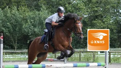 ouamdt2x4g9zsdk1b5rvqdpjy 16en knhs