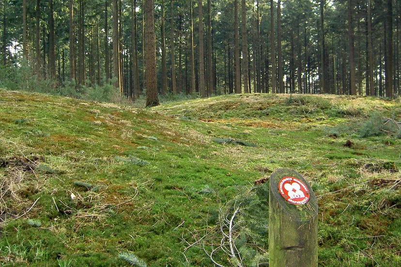 ozganc4o0irv8i5dsyessd44e 41en grafheuvels