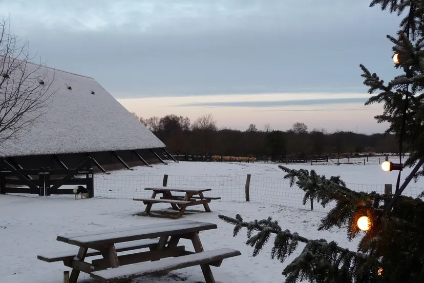 pevot0mkk0rp45gtr3jcwat57 49en kerstsinginn