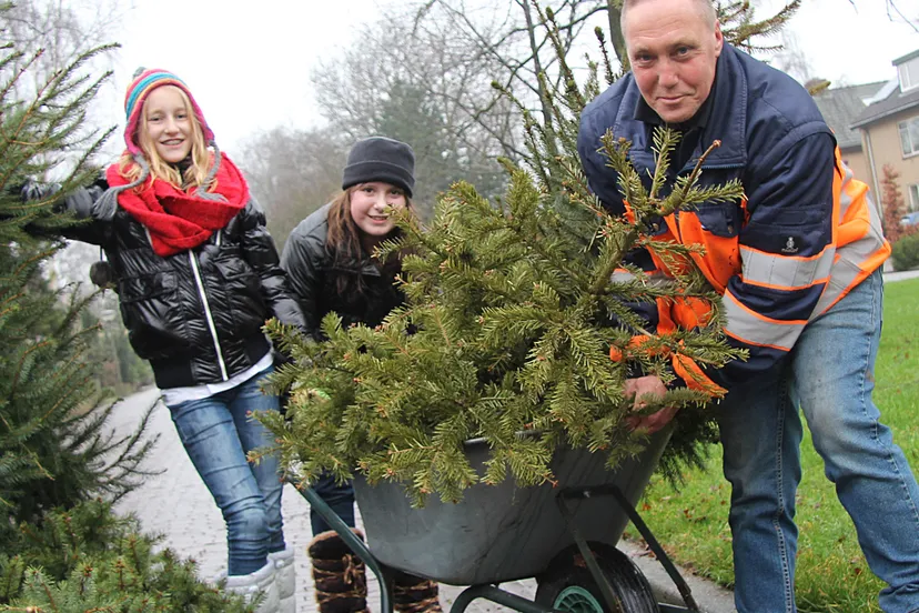 pgxr4btl0zfzb0sugxjo0mn76 02en kerstbomenactie