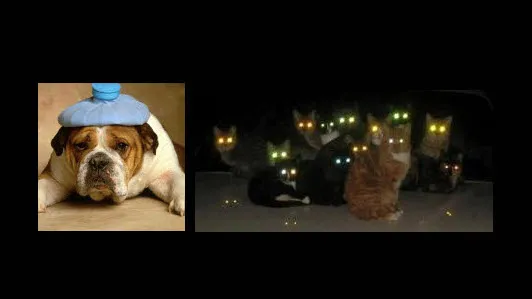 pja5138g1pczghkhf5ro5k0x1 dickblaft44