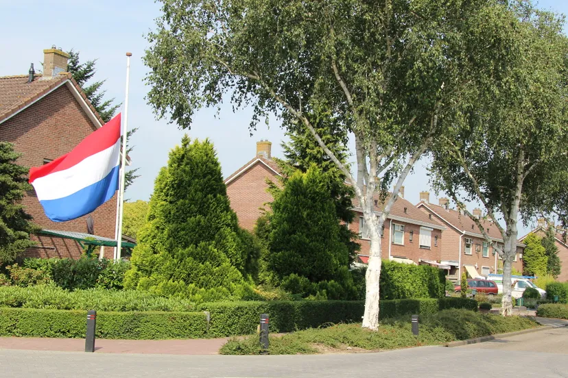 q3v7xqw0pykom2espdr6p3kwd 29en halfstok