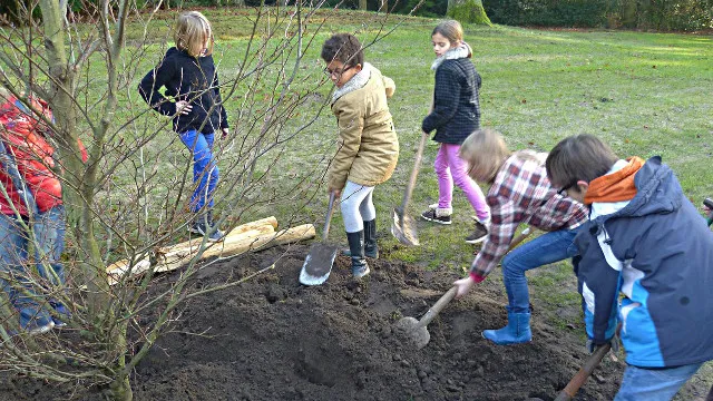 qavv0a7jzfcs2xa00evzbsxtn 50en boomplantdag