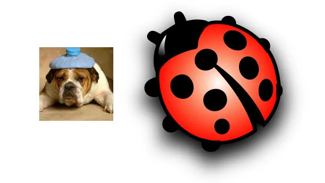 qmog92nakkn6clpfycc0r25o4 dickblaft50