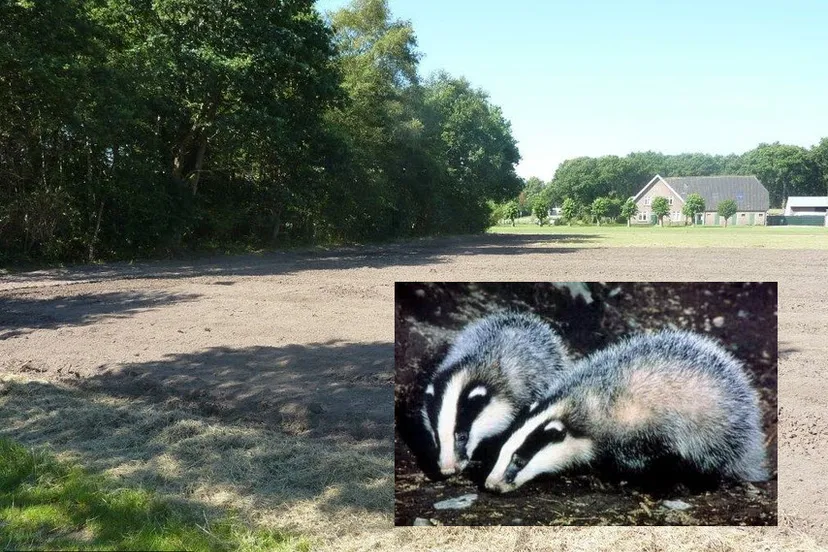 qnxh9tfpxyji0mt5ptcp3vjof 35en das