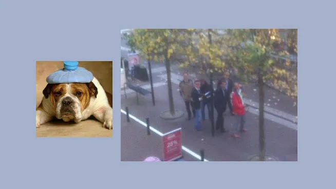 rbeaosx5mm9xsrpsd0kfo3rdc dickblaft49