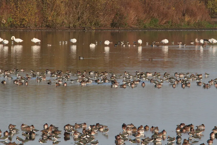 rwycvanijsabkqwynwdxjdi6m 02en knnv