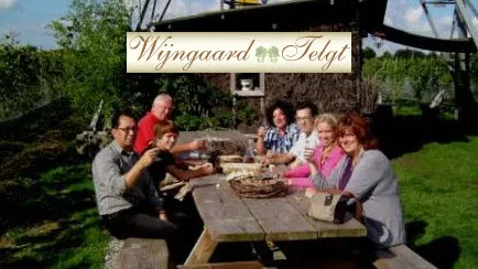 tnf65oysae3wff98t9xgutpcy 24en wijngaard