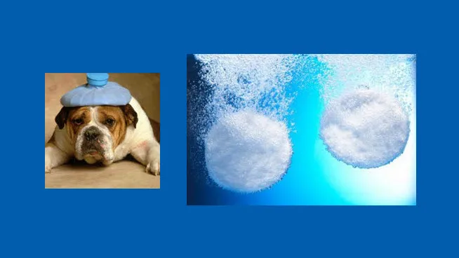 ub3ee5usliu8ijf7sd4ubfdgy dickblaft37