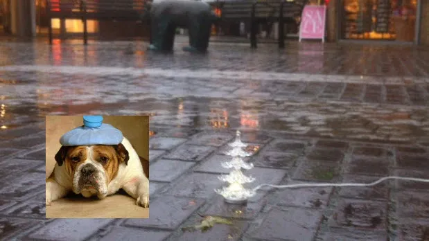 urofvpt3yuzewtw073yqu0j73 dickblaft54