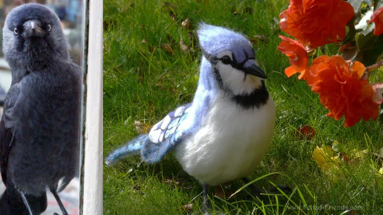 vaoogqqs874z85jayftpqfjw2 20en bianca 4