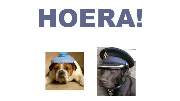 vc16olth7ut7tx44s6h6hq3bw dickblaft51