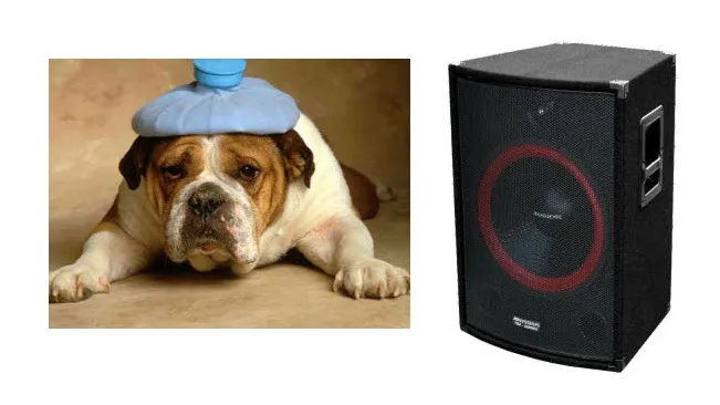 vdffjoplwha143ch9ow62auc9 dickblaft27