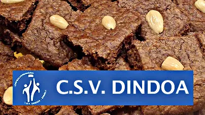 vg4ywh30fl8tq08xhjq3qe67r 46en dindoa actie