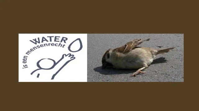 vqegnum5mgg1zk2lx1sgusfh3 dickblaft4