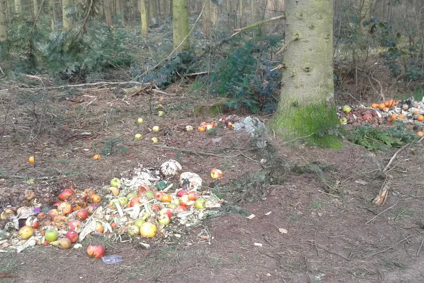 xamohxwc0o825wjnxbad7l665 12en dump 1