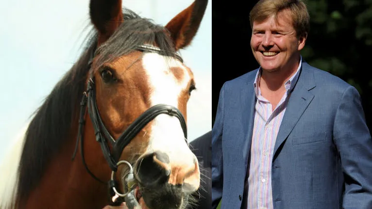 xkv9o4kpetvutrhk11dnrbut4 17en paard alexander